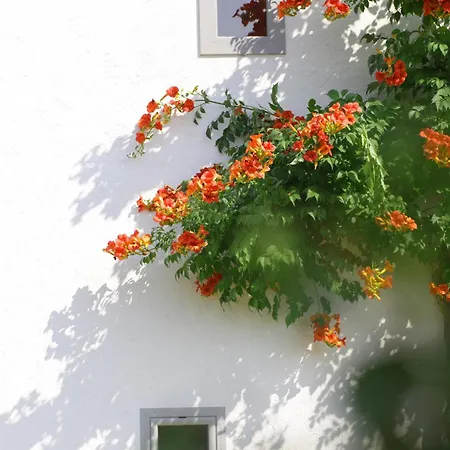 Land-zee - Cote * Saujon