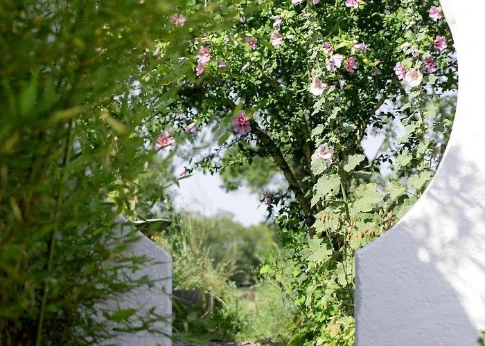 Appartement Land-zee - Côté Saujon