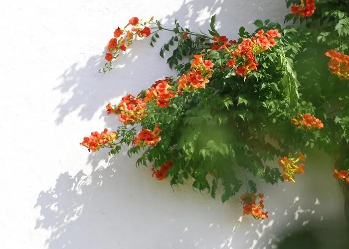 Land-zee - Côté * Saujon